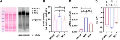 N-Formyl-L-aspartate mediates chemotaxis in sperm via the beta-2-adrenergic receptor